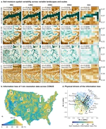 High-Resolution Soil Moisture Data Reveal Complex Multi-Scale Spatial Variability Across the United States