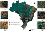 Transformation of Brazil's biomes: The dynamics and fate of agriculture and pasture expansion into native vegetation