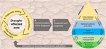 Drought Diagnosis: What the Medical Sciences Can Teach Us