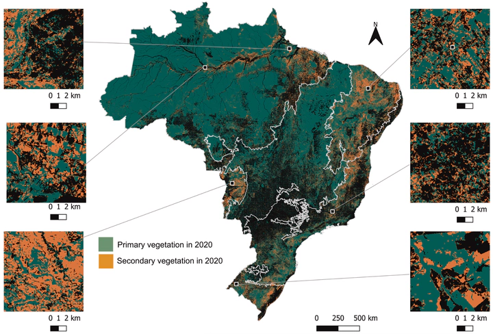 Transformation of Brazil's biomes: The dynamics and fate of