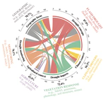 Unveiling flash droughts in Brazil: a systematic literature review