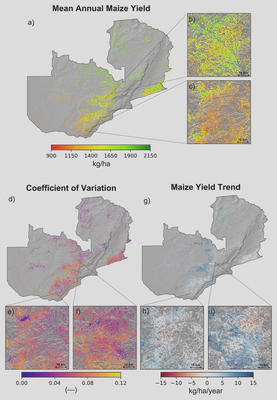 Annual maize yields (a), coefficient of variation (d), and maize yield trends (g) for the period between 2000–2018 estimated using a random forest model. Each zoom panel (b, c, e, f, h, i) shows the respective estimates at a 250-m resolution for a 50-km x 50-km area.